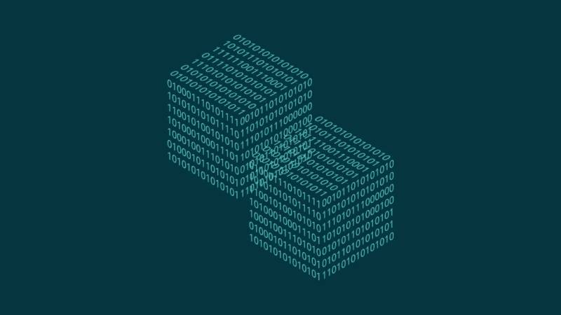 大观区信创改造：网络应用开发流程标准化的核心路径与实践